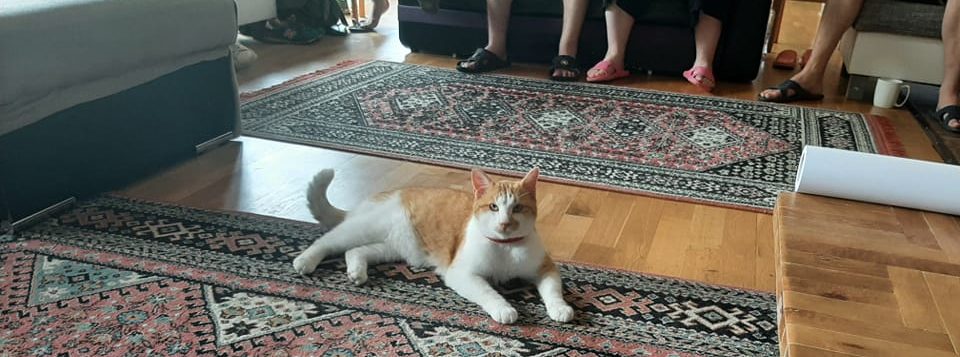 OpenCon Transilvania